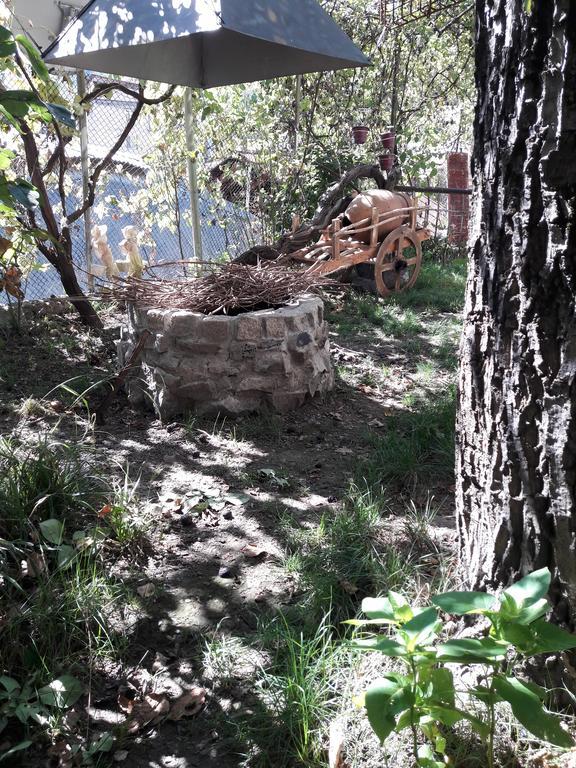 Rachvela'S Guest House Borjomi Exterior photo