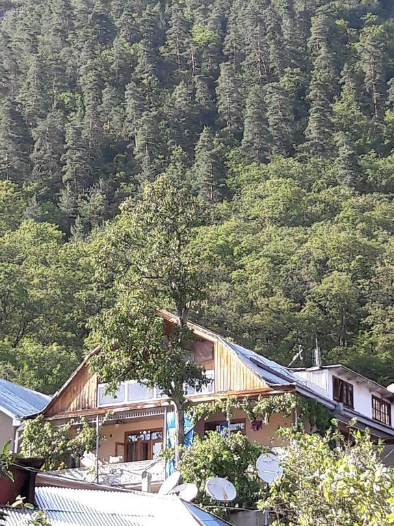 Rachvela'S Guest House Borjomi Exterior photo