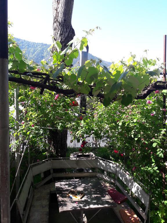 Rachvela'S Guest House Borjomi Exterior photo