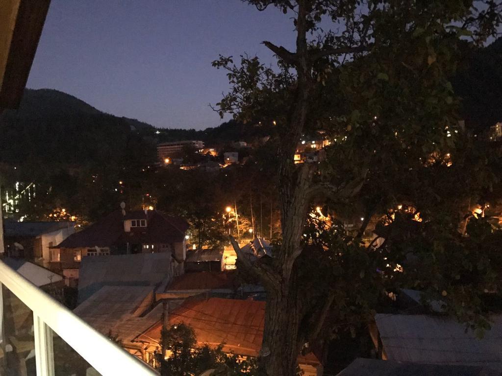 Rachvela'S Guest House Borjomi Exterior photo